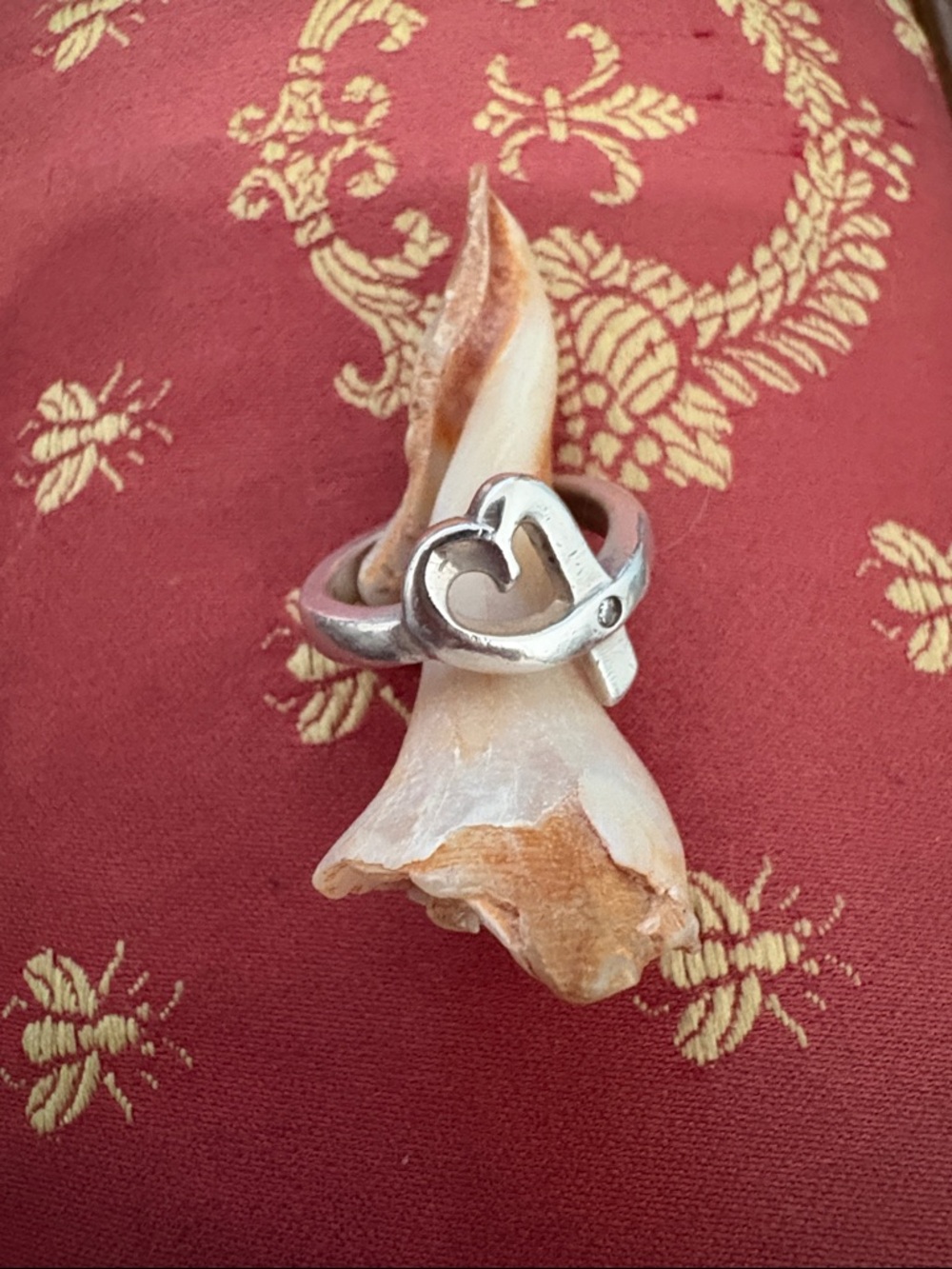 Vintage retired Tiffany and co forever love ring set in sterling - Women Jewelry